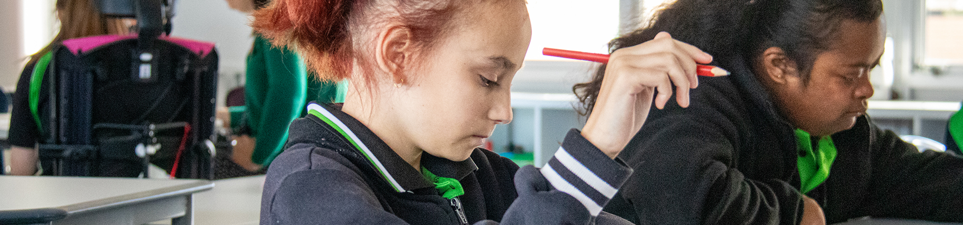 Albany Secondary Education Support Centre